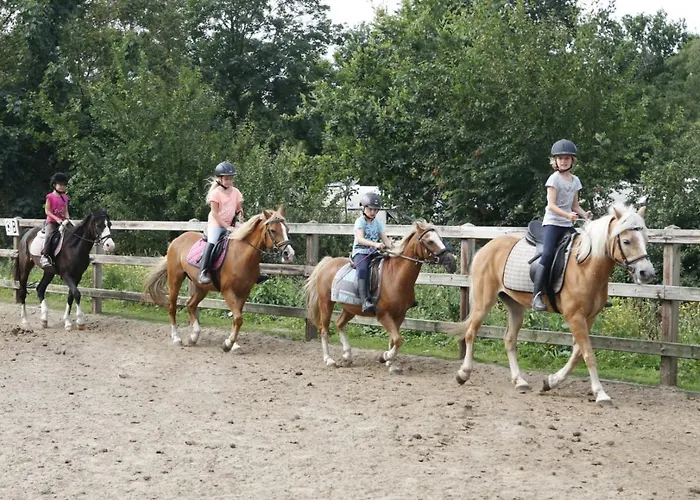 Apartamento Zeumeren 6 Pers. Voorthuizen