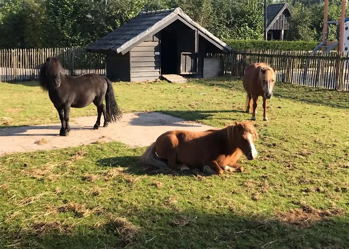 Zeumeren 6 Pers. Voorthuizen